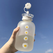 Load image into Gallery viewer, Elegant Glass Water Bottle with Straw